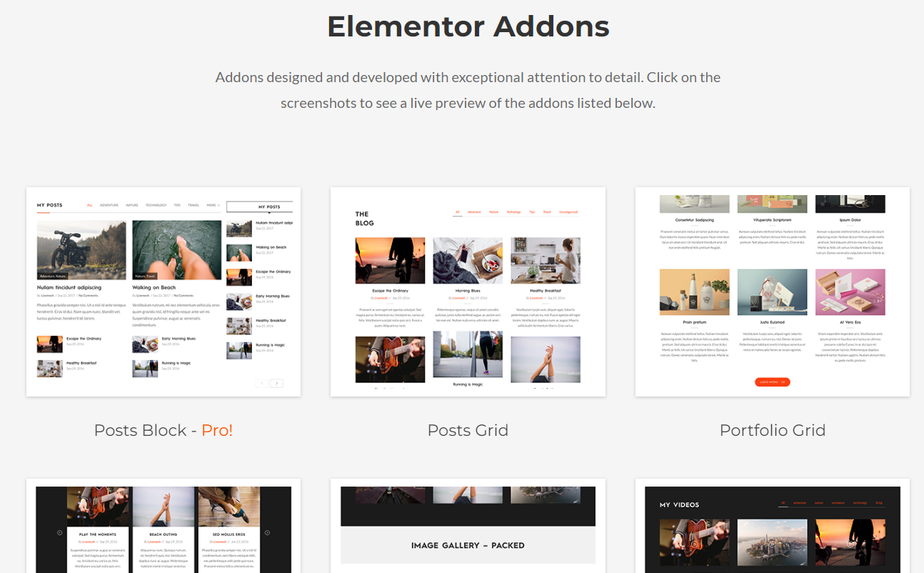 Addons for Elementor Pro 1