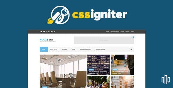 CSS Igniter Sixtyone WordPress Theme