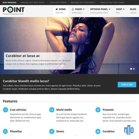 MyThemeShop PointPro