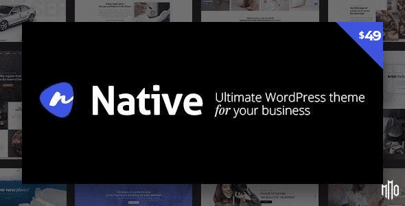 Native (Stylish Multi-Purpose Creative WP Theme)