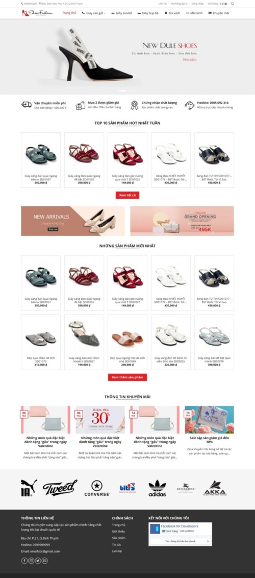 Mẫu web Theme WordPress shop giày nữ