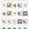 Mẫu web Theme WordPress in ấn 6