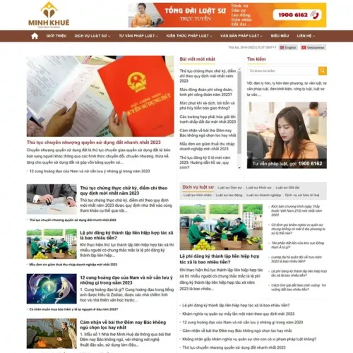 Mẫu web Theme WordPress Luật Sư 5