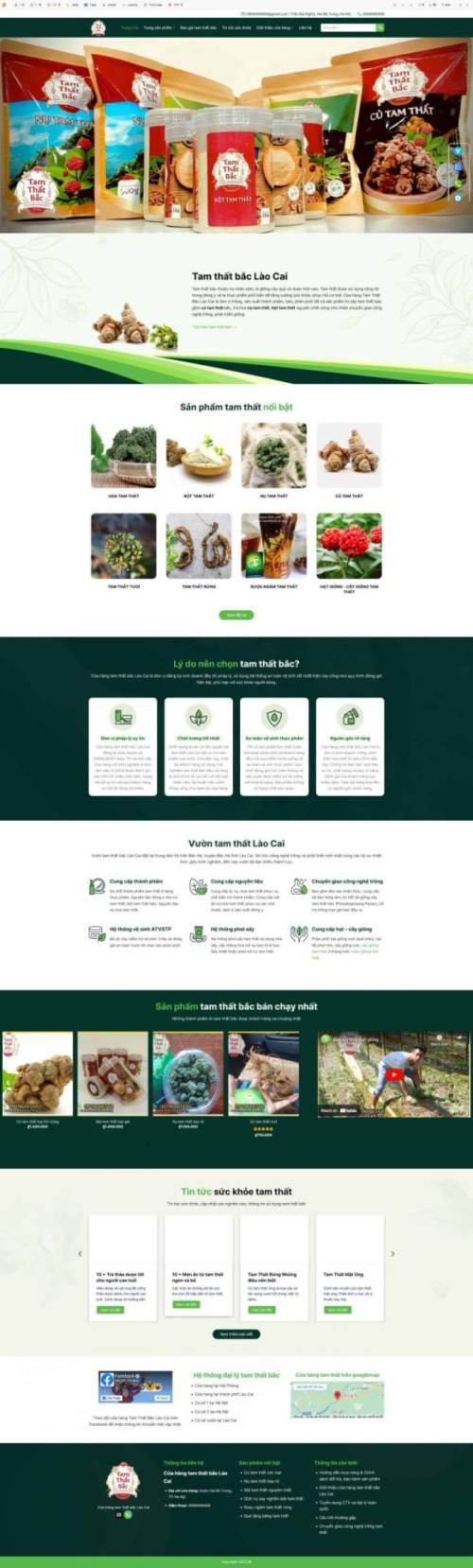 Mẫu web Theme WordPress bán tâm thất bắc