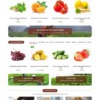 Mẫu web Theme WordPress tạp hóa