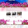 Mẫu web Theme WordPress xkld 6